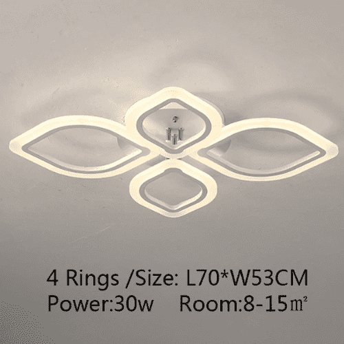 The Blossom Ceiling Light