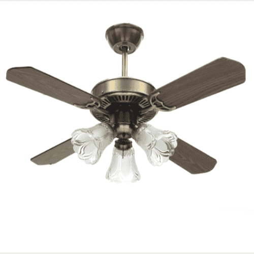 Ceiling Fan With Light