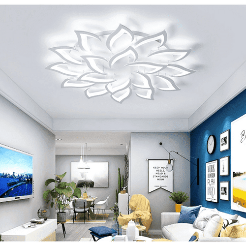 Modern Ceiling Light