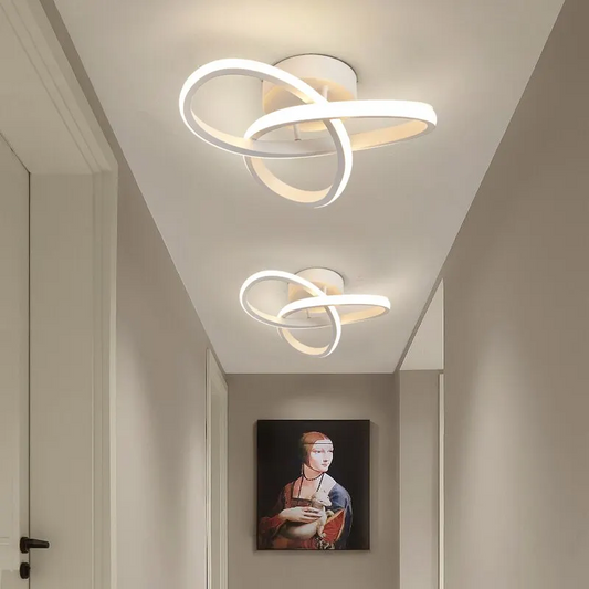 Modern Ceiling Lamp