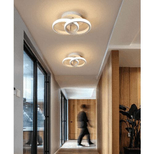 Modern Double Circle LED Ceiling Light Fixture