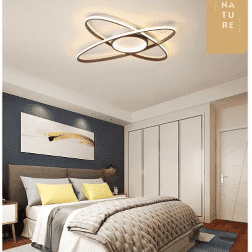 Modern LED Ceiling Light Lighting Fixture