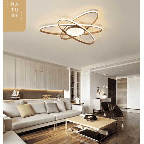 Modern LED Ceiling Light Lighting Fixture