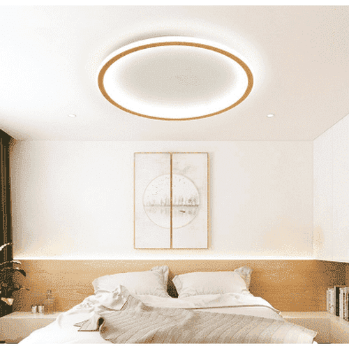 Modern Round Ceiling Light Fixture