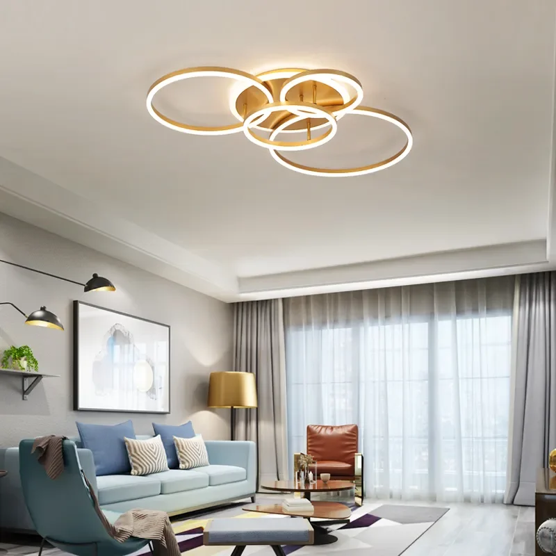 Modern Circles Ceiling Light