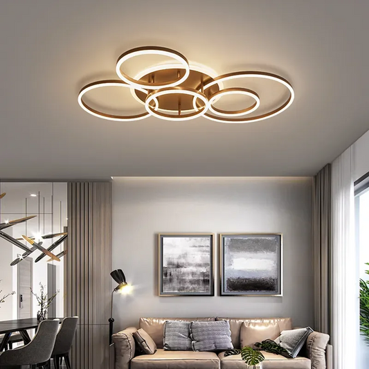 Modern Circles Ceiling Light