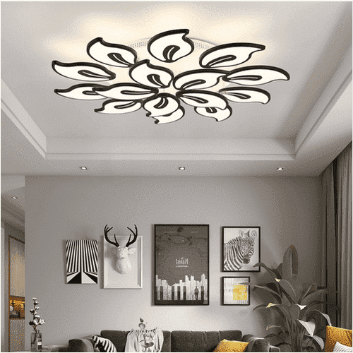 Modern Design Ceiling Light