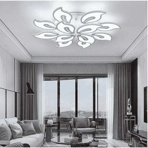 Modern Design Ceiling Light