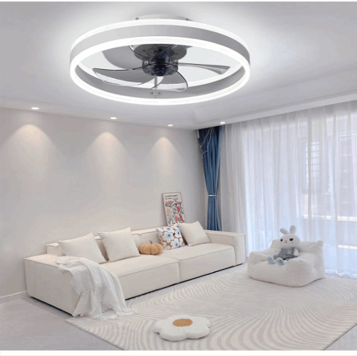 ceiling fan light