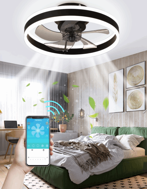 ceiling fan light