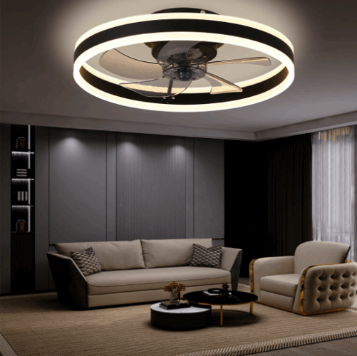 ceiling light fan