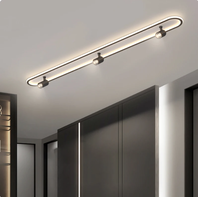 ceiling light with spotlight