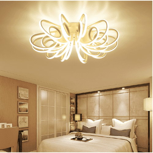 Contemporary Ceiling Light