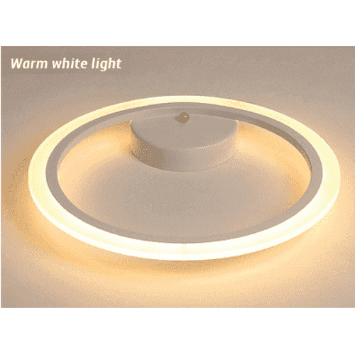 Modern Circles Ceiling Light