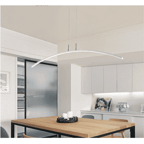 Minimalist modern Ceiling Light