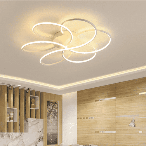 Modern Ceiling Light Fixture