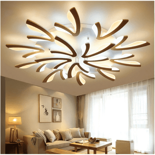 Modern Contemporary Ceiling Light