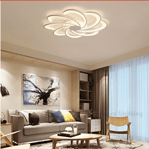 Modern Ceiling lights