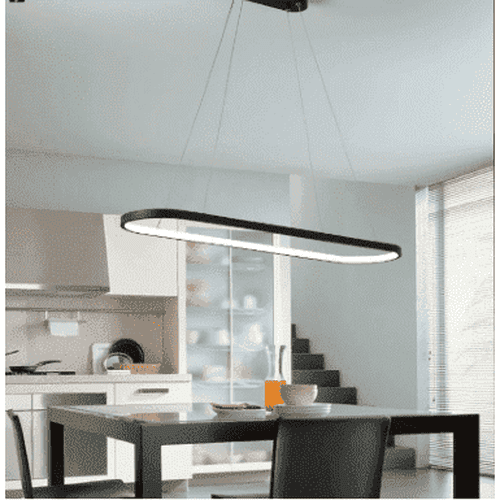 Modern Oval Ceiling Light