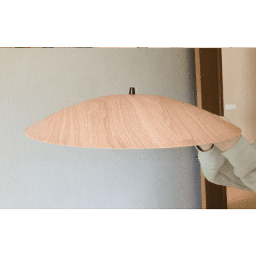 Contemporary Pendant Light