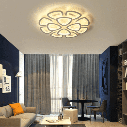 Unique Modern Ceiling Light